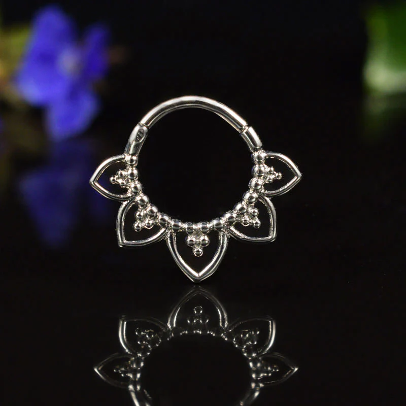 Hinged Segment Rings aka Clicker Rings